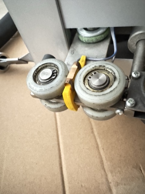 IMG_4895 Medium.jpeg