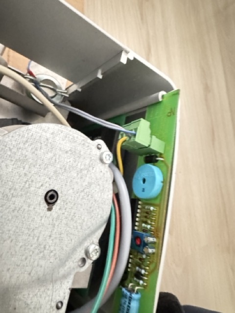 IMG_4904 Medium.jpeg