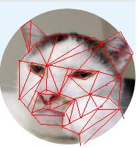 untitled.JPG