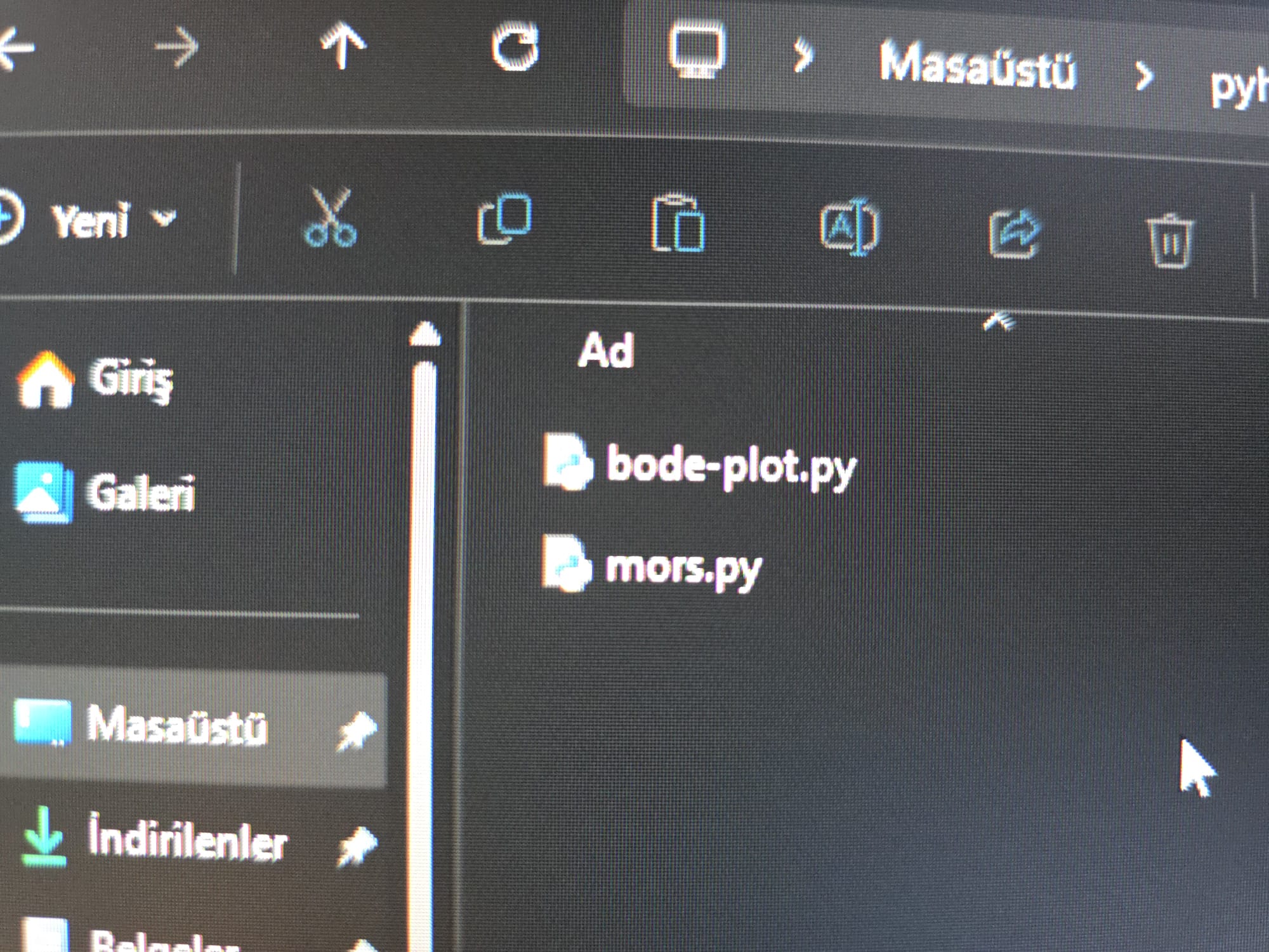 WhatsApp Image 2026-01-29 at 23.10.18.jpeg