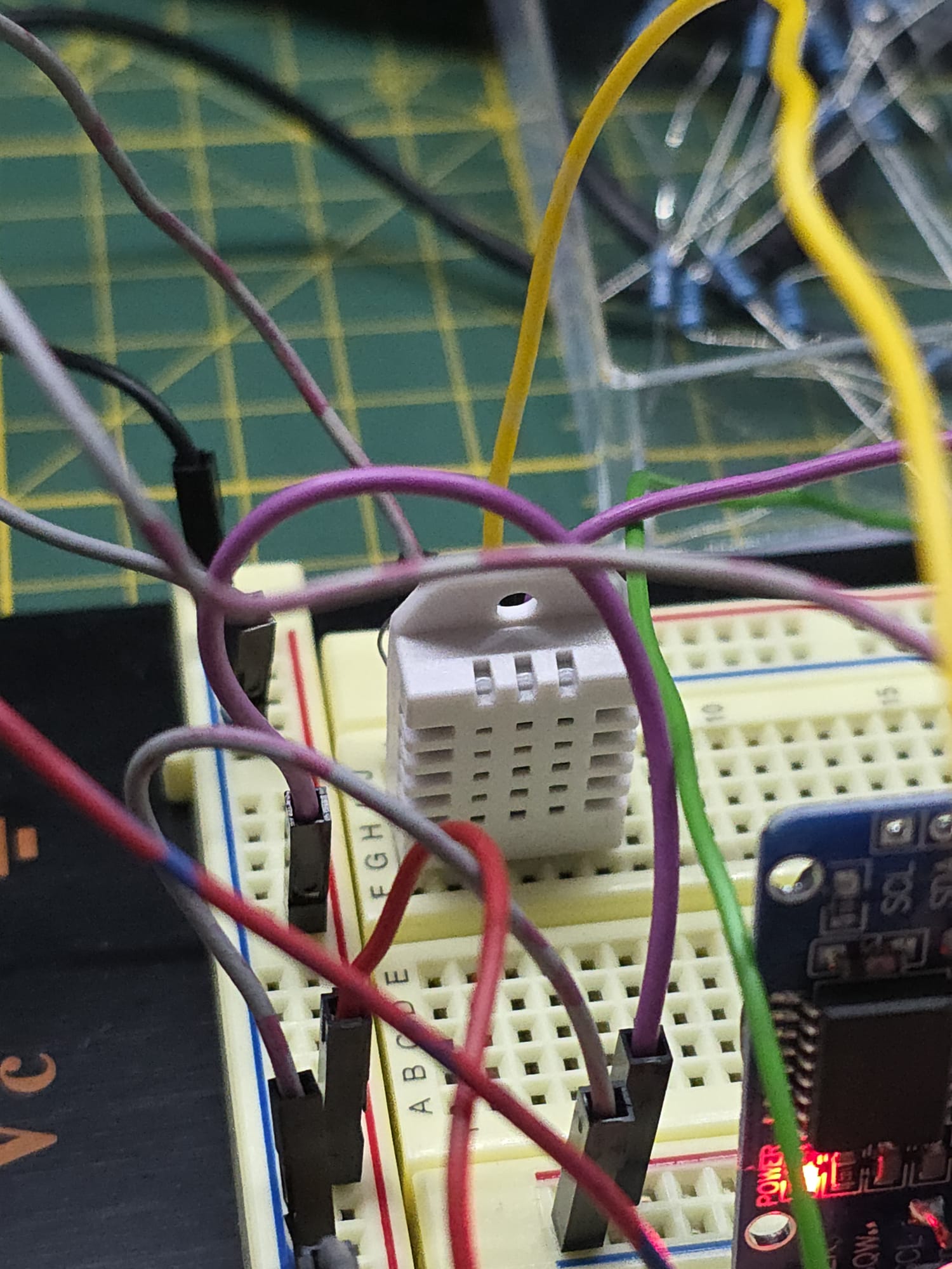 WhatsApp Image 2026-02-22 at 00.43.09.jpeg