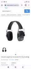 Screenshot_2023-07-01-21-17-52-158_com.android.chrome.jpg