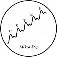 Mikro Step